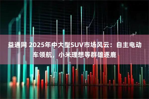 益通网 2025年中大型SUV市场风云：自主电动车领航，小米理想等群雄逐鹿