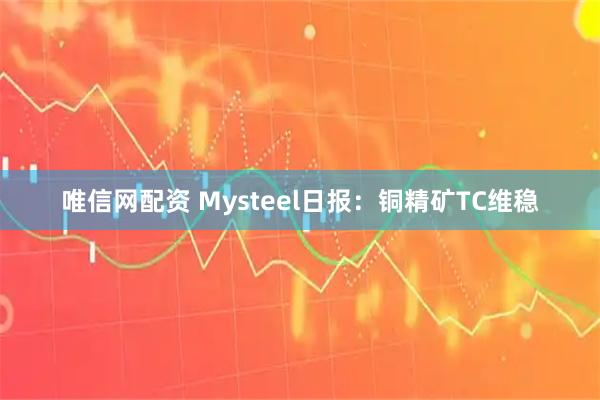 唯信网配资 Mysteel日报：铜精矿TC维稳
