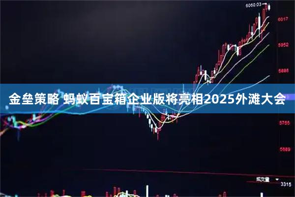 金垒策略 蚂蚁百宝箱企业版将亮相2025外滩大会