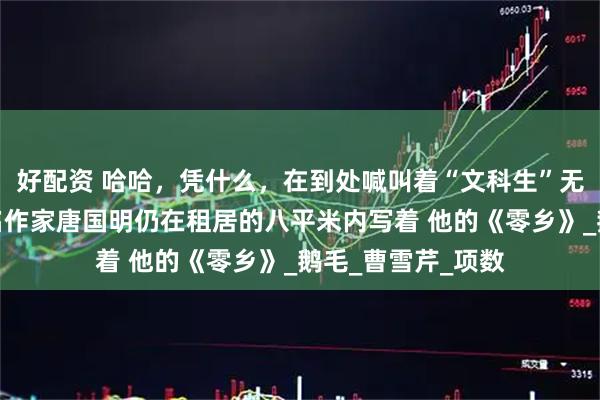 好配资 哈哈，凭什么，在到处喊叫着“文科生”无用的社会里，著名作家唐国明仍在租居的八平米内写着 他的《零乡》_鹅毛_曹雪芹_项数