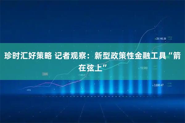 珍时汇好策略 记者观察：新型政策性金融工具“箭在弦上”