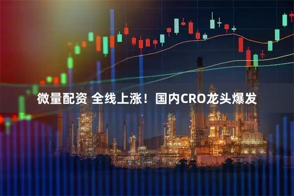 微量配资 全线上涨!国内CRO龙头爆发